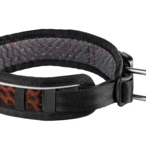Adjustable Dog Collar